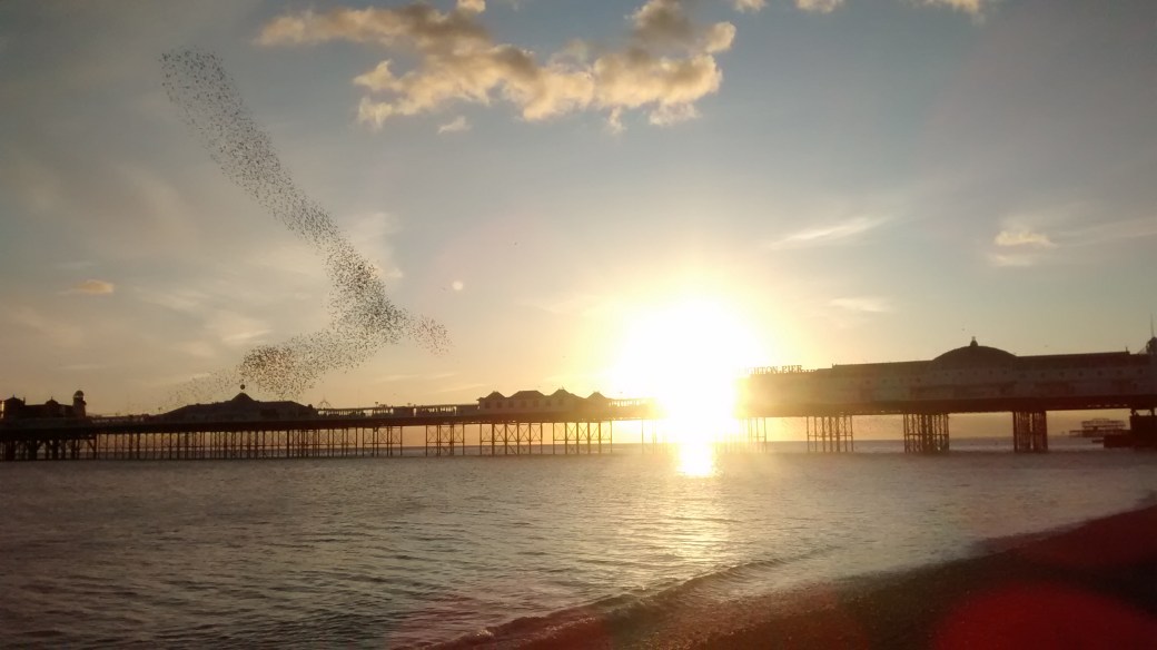 IMG_20160228_171737138